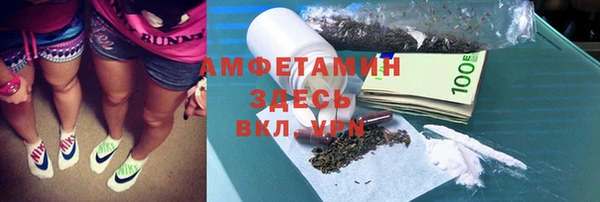 шишки Богородск