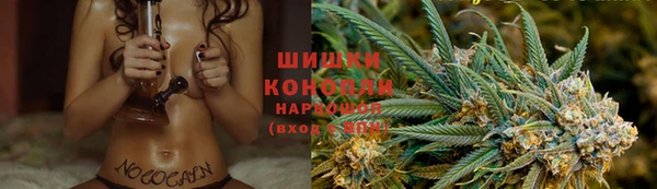 шишки Богородск