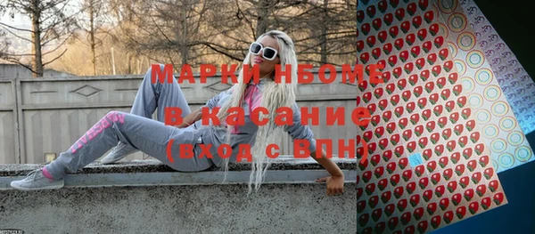 шишки Богородск