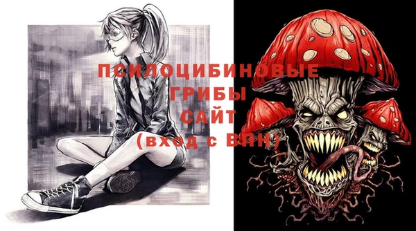 мдпв Богородицк
