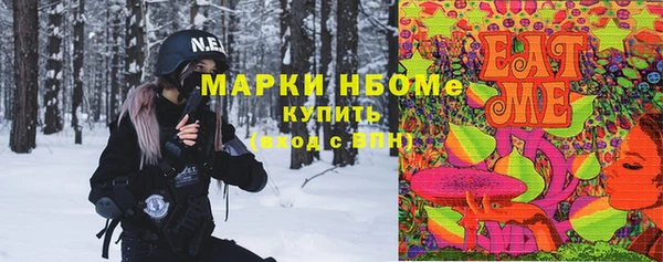 шишки Богородск