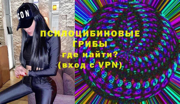 мдпв Богородицк