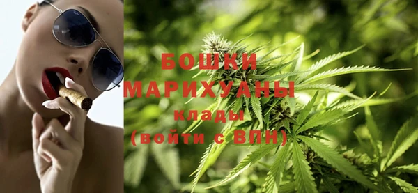мдпв Богородицк