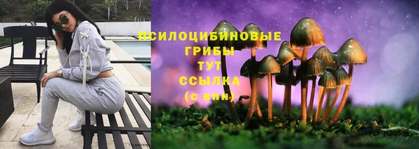 шишки Богородск