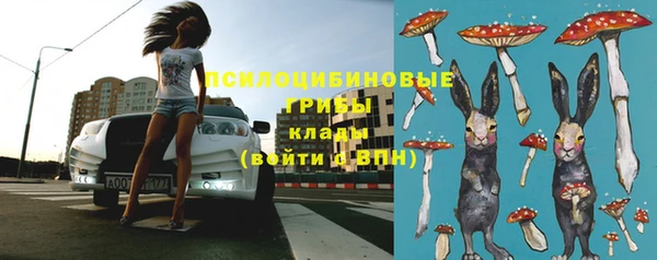 мдпв Богородицк