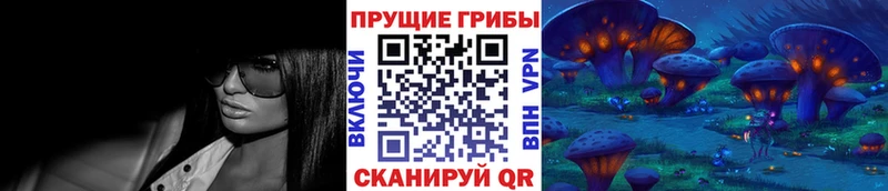 Псилоцибиновые грибы прущие грибы  Костомукша 