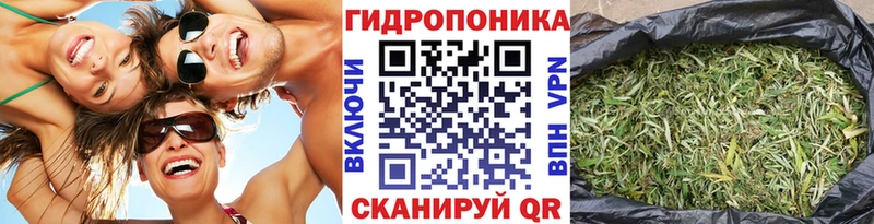 blacksprut сайт  наркота  Костомукша  Шишки марихуана план 
